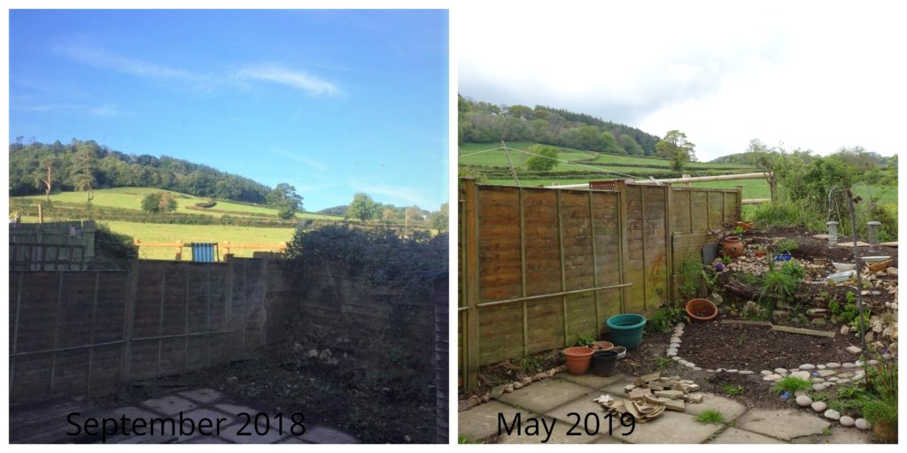 Before and after photo of my back garden