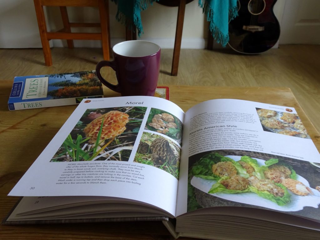 Open book:wild foods Roger Phillips