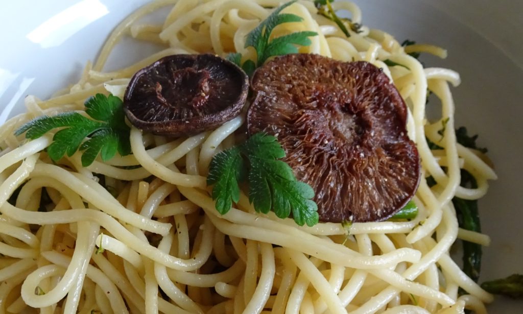 Wood Blewit Spaghetti